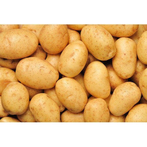 Potato 1 kg